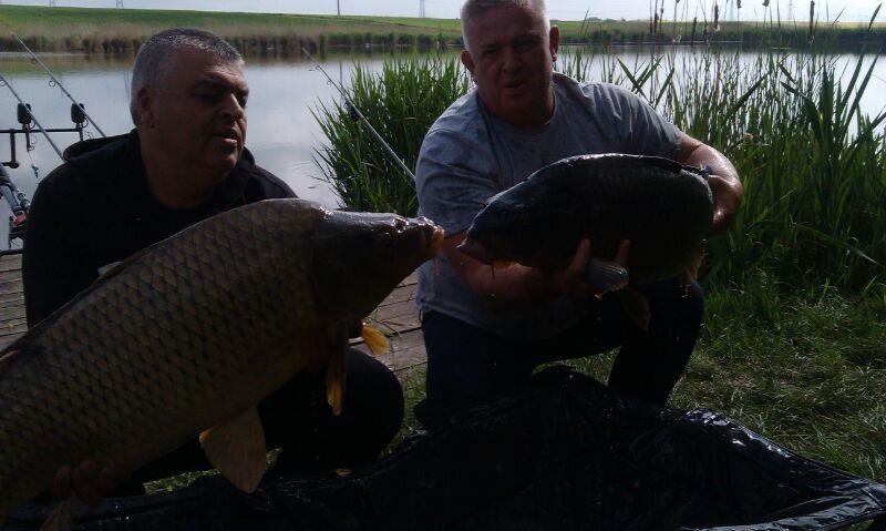 2014 Balta Lazar Alexandria - img-20140429-wa0020.jpg